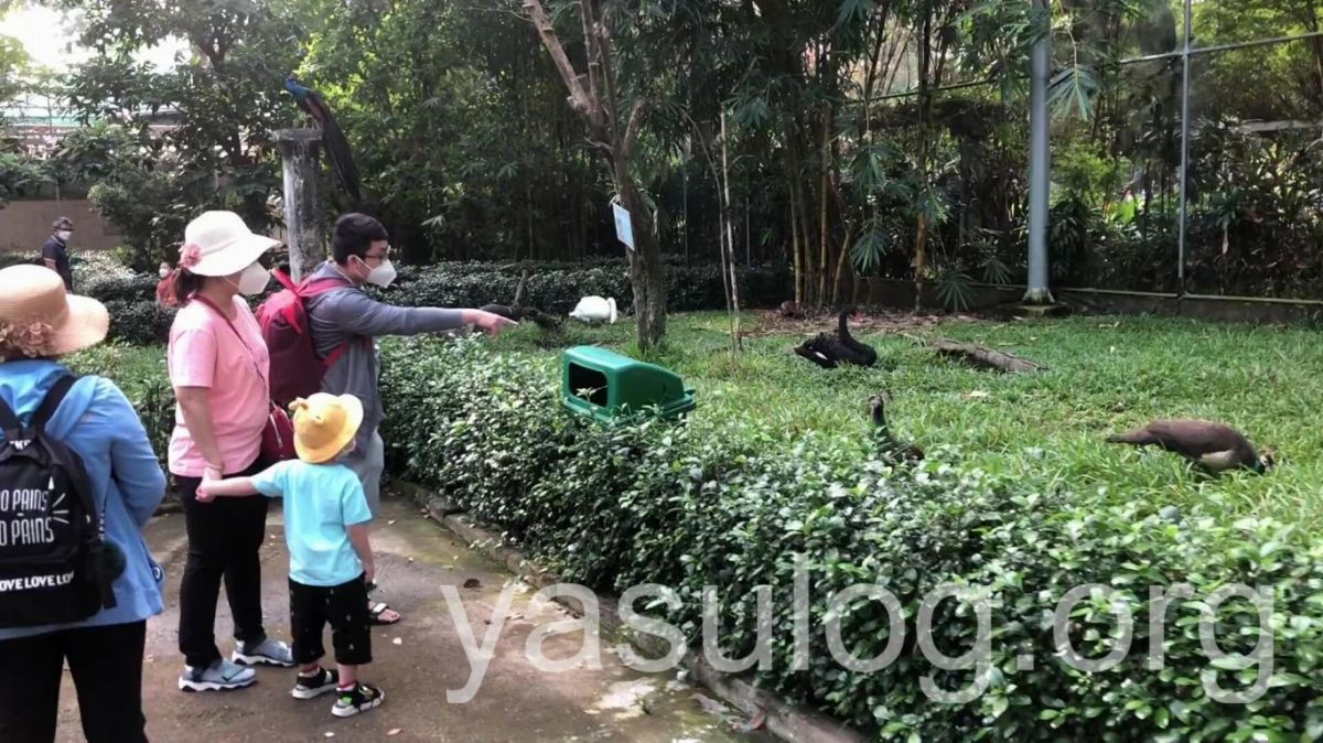 サイゴン動植物園は家族連れも多く来ており、憩いの場となっている